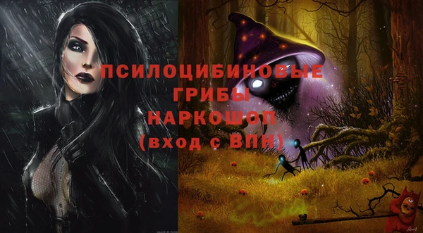 ГАЛЛЮЦИНОГЕННЫЕ ГРИБЫ Пролетарск
